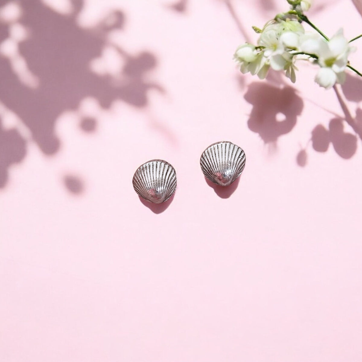 Small Shell Earrings