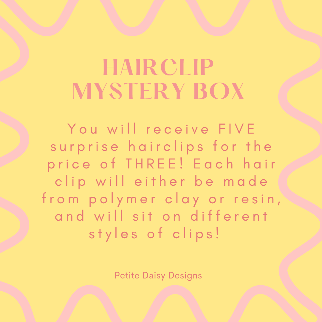 HAIRCLIP MYSTERY BOX