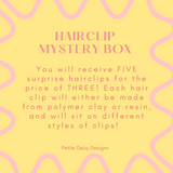 HAIRCLIP MYSTERY BOX